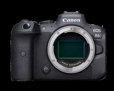 Canon EOS R6 Body - ảnh 3